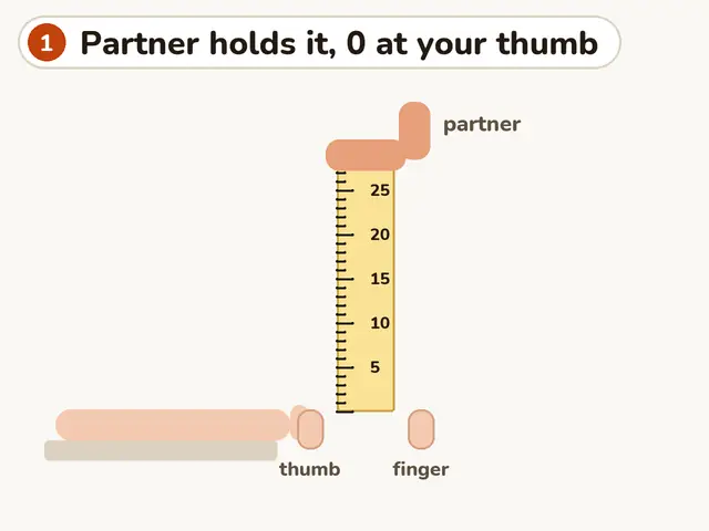 Animation: a partner holds a 30 cm ruler with the 0 mark at the top of your thumb, between your open thumb and finger, then lets go without warning. You pinch it, and read the mark at your thumb: 14 cm, within the 20 cm pass line.